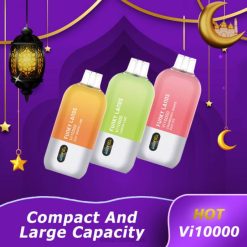 Elf Bar Tallinn 0LVT386 | mustikajää ELFBAR Funky Lands Vi10000 ühekordne vape